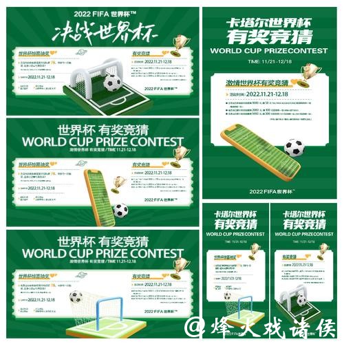 揭秘卡塔尔世界杯激情与荣耀背后的故事